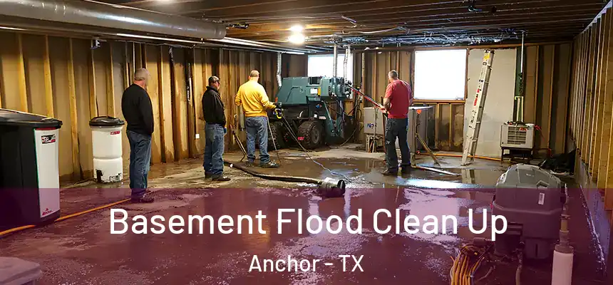  Basement Flood Clean Up Anchor - TX