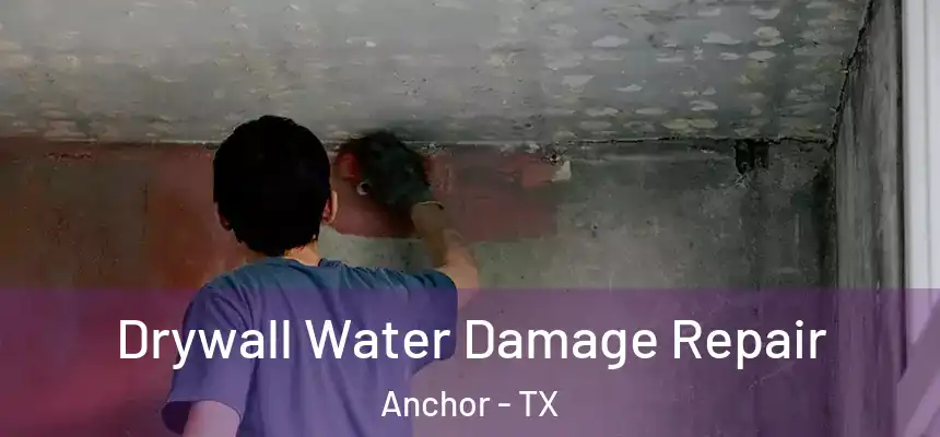  Drywall Water Damage Repair Anchor - TX
