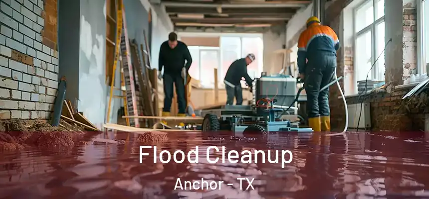  Flood Cleanup Anchor - TX