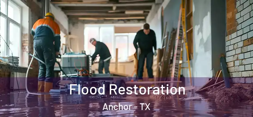 Flood Restoration Anchor - TX
