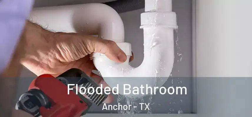  Flooded Bathroom Anchor - TX