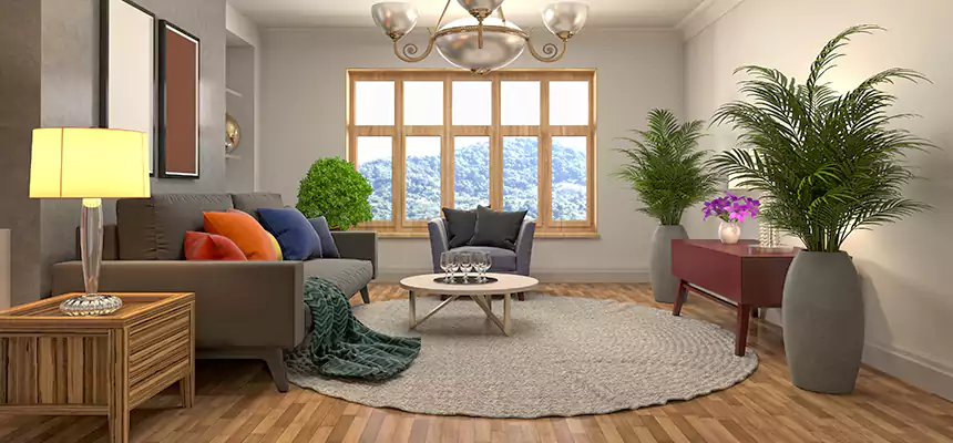 Local Water Mitigation in Anchor