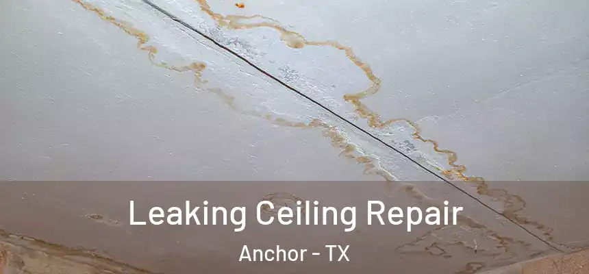  Leaking Ceiling Repair Anchor - TX