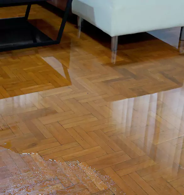 Trusted Emergency Water Restoration Company in Anchor, TX