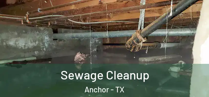  Sewage Cleanup Anchor - TX