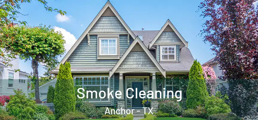  Smoke Cleaning Anchor - TX