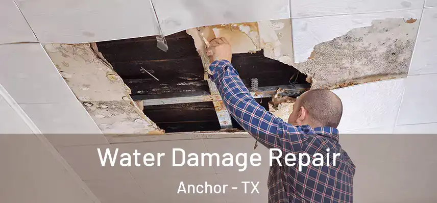  Water Damage Repair Anchor - TX
