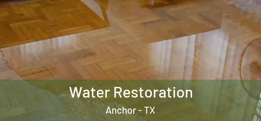  Water Restoration Anchor - TX